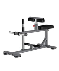 Insight Fitness DR011 Seated Calf Raise – Stock Clearance Insight Fitness DR011 Seated Calf Raise – Stock Clearance