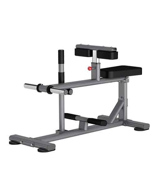 Insight Fitness DR011 Seated Calf Raise – Stock Clearance