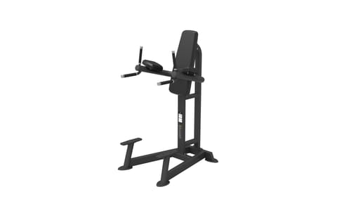 Spirit SP-4215 Leg Raise / Dip