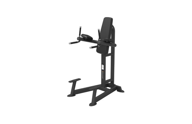 Spirit Fitness SP-4215 Leg Raise / Dip