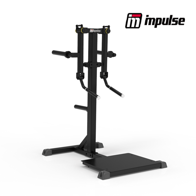 Impulse Fitness IFP1103 Standing Lateral Raise