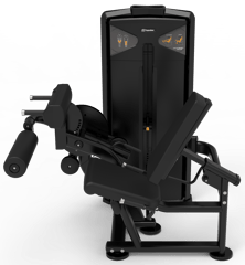 Impulse VX9528 Leg Extension/Leg Curl