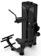 Impulse VX9534 Abdominal / Back Extension