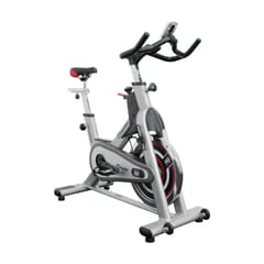 Impulse PS300 Indoor Cycle Impulse PS300 Indoor Cycle