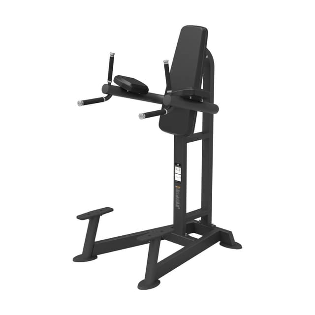 Spirit Fitness SP-4215 Leg Raise / Dip